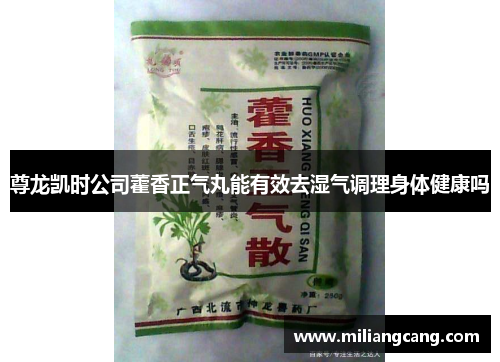 尊龙凯时公司藿香正气丸能有效去湿气调理身体健康吗 尊龙凯时公司藿香正气丸能有效去湿气调理身体健康吗