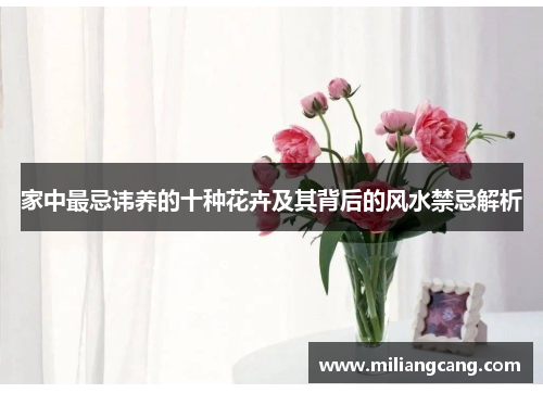 家中最忌讳养的十种花卉及其背后的风水禁忌解析