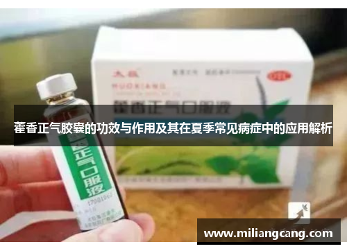 藿香正气胶囊的功效与作用及其在夏季常见病症中的应用解析 藿香正气胶囊的功效与作用及其在夏季常见病症中的应用解析